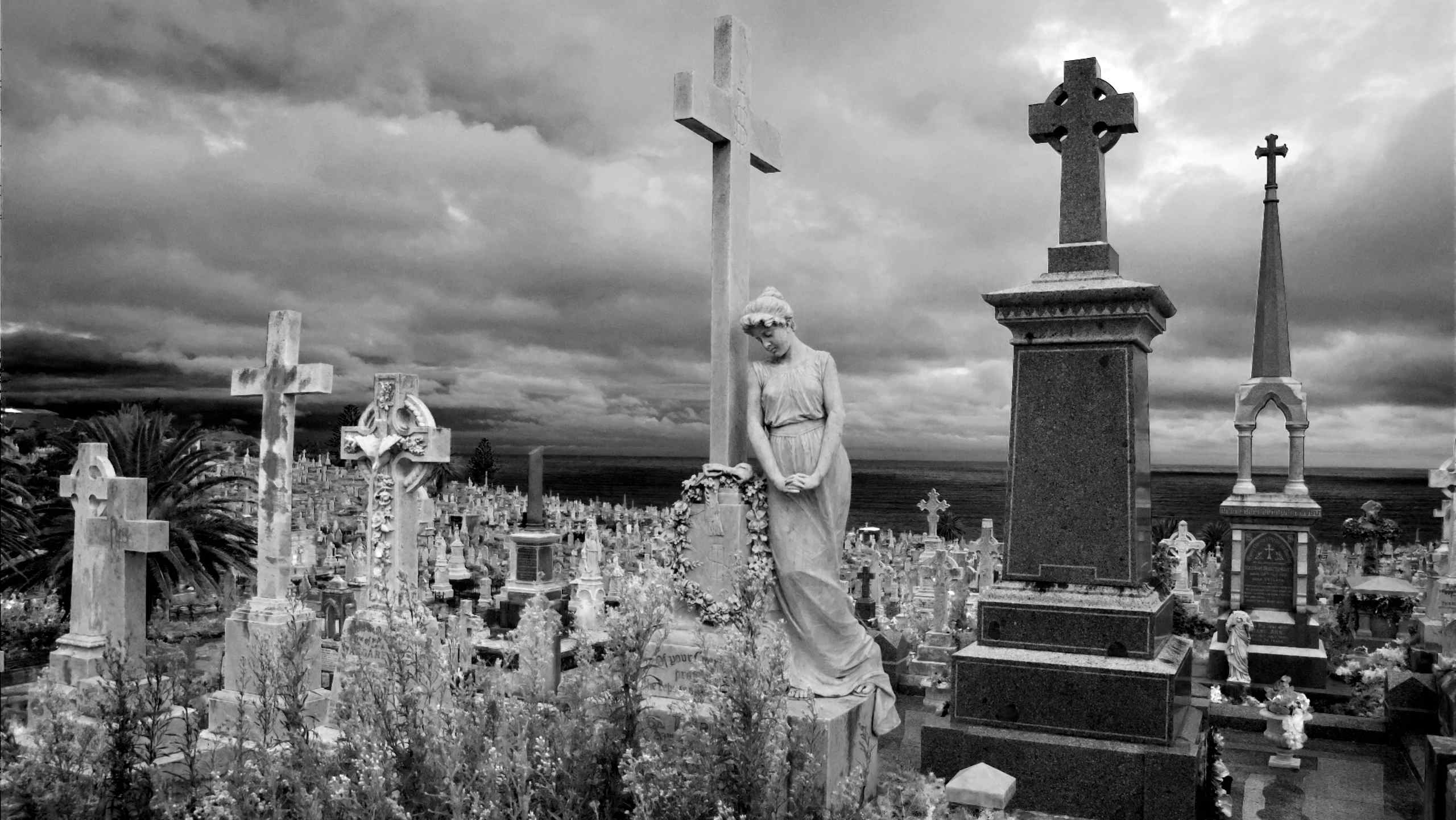 Sydney cemetary